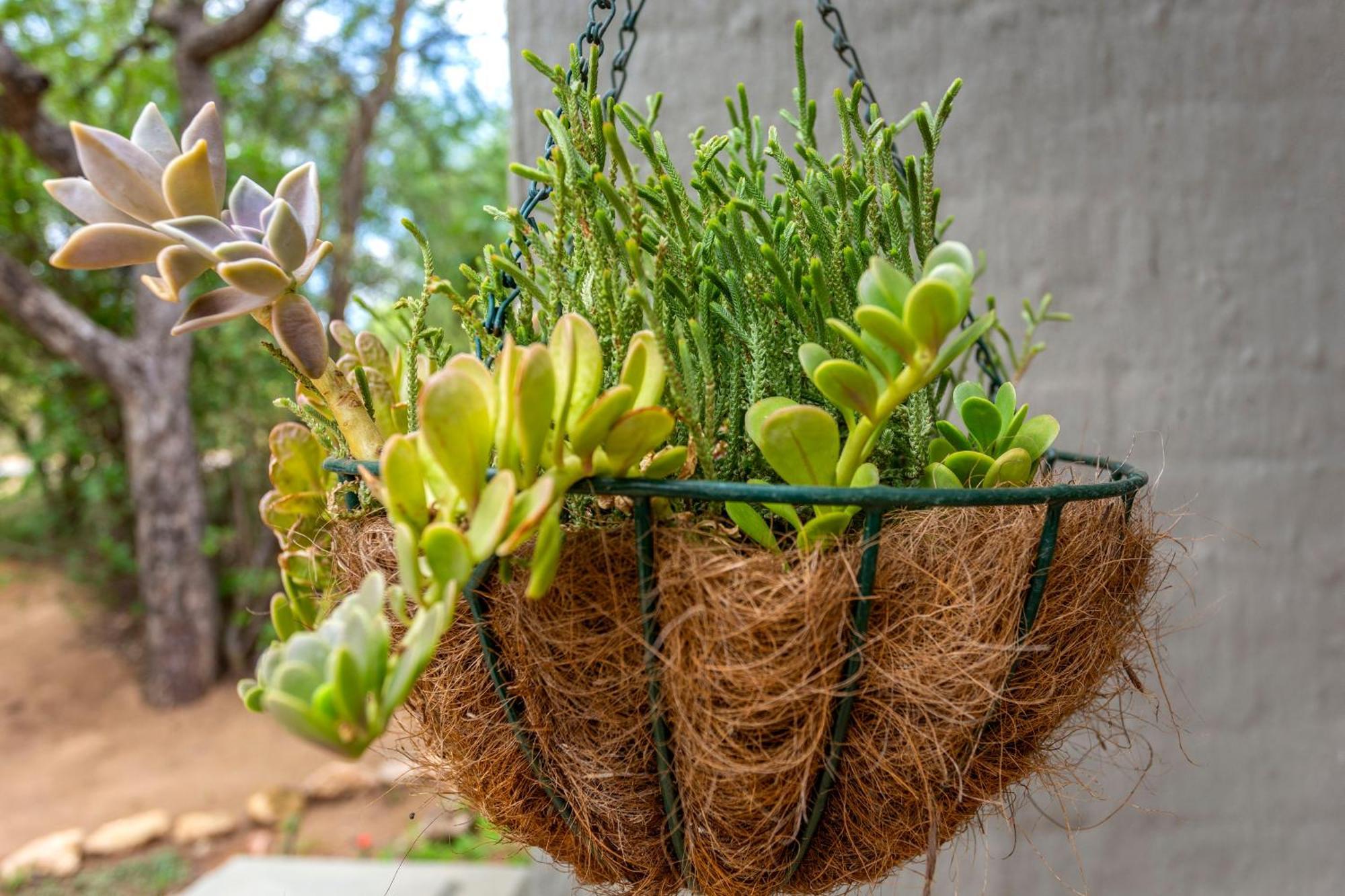 The Bush House Villa Hoedspruit Ngoại thất bức ảnh